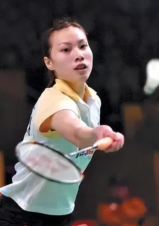 素来源于球 素来源于球